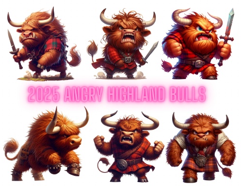 Angry Highland Bulls