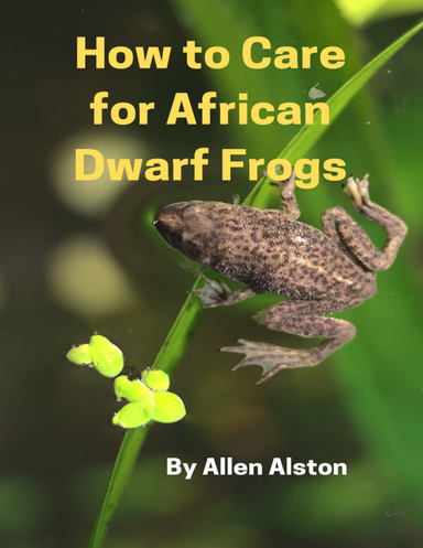 How to Care for African Dwarf Frogs