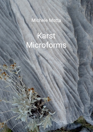 Karst Microforms