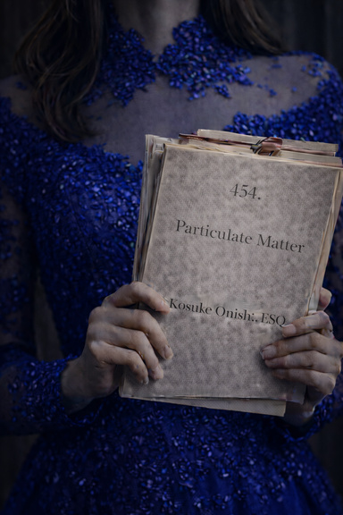 Particulate Matter