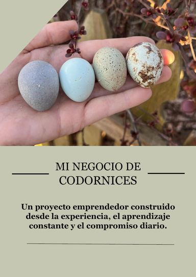 MI NEGOCIO DE CODORNICES