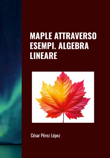 MAPLE ATTRAVERSO ESEMPI. ALGEBRA LINEARE