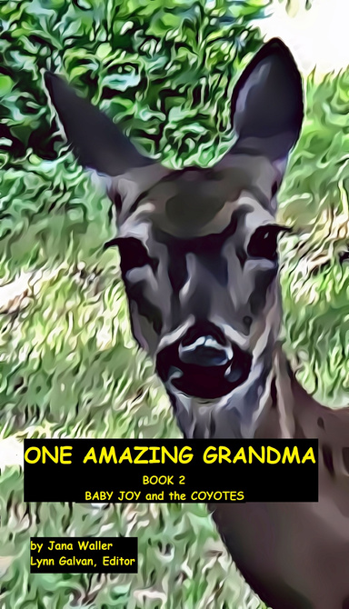 ONE AMAZING GRANDMA, BOOK 2