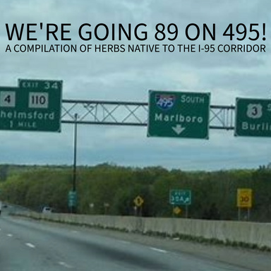 We're Going 89 on 495!