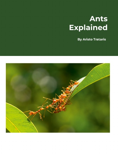 Ants Explained