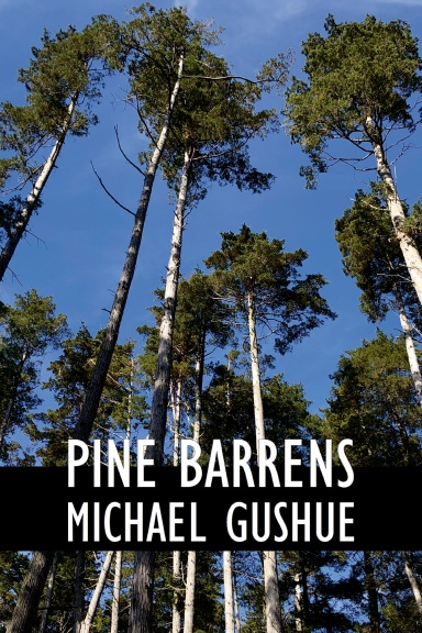 Pine Barrens