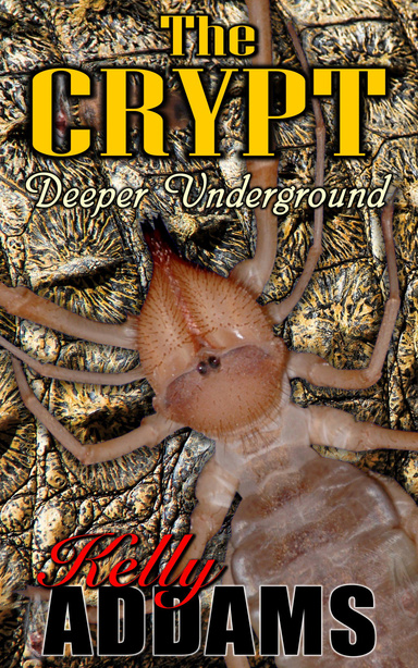 The Crypt - Deeper Underground