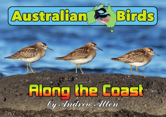 Australian Birds: Along the Coast