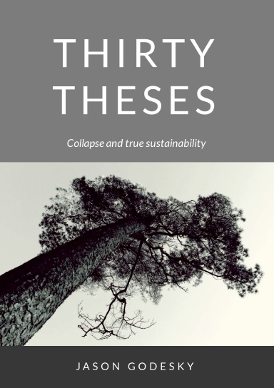 Thirty Theses