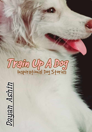 Train Up A Dog