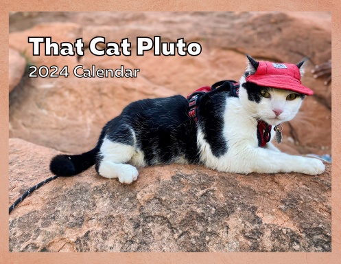 That Cat Pluto 2024 Calendar
