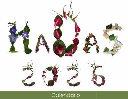 Calendario de las Hadas 2026
