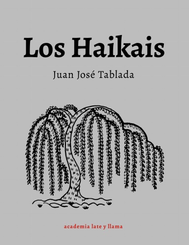 Un Día . . . y El Jarro de Flores