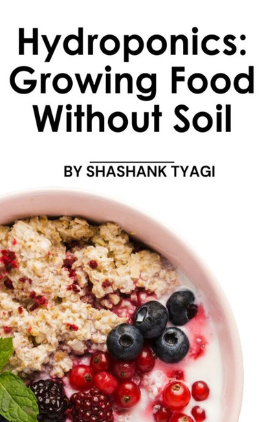 Hydroponics: Growing Food Without Soil