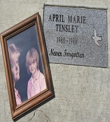 Infamous Indiana Crime  	Volume 2 - A Real Human Monster:  The Murder of April Marie Tinsley