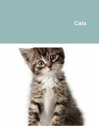 Cats