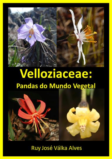 VELLOZIACEAE: