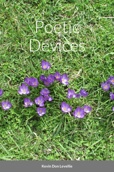 Poetic Devices