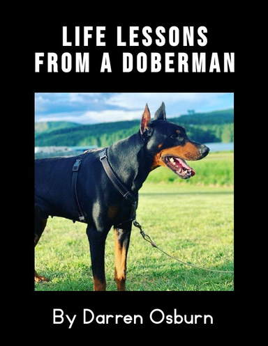 Life Lessons  from a Doberman