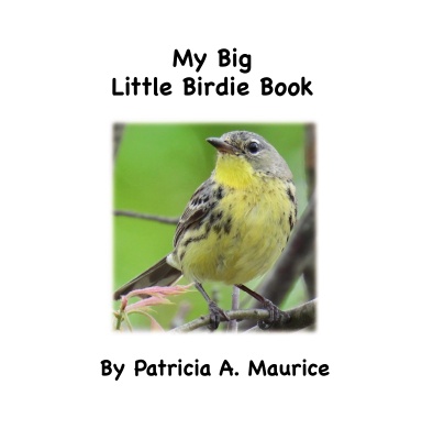 My Big Little Birdie book