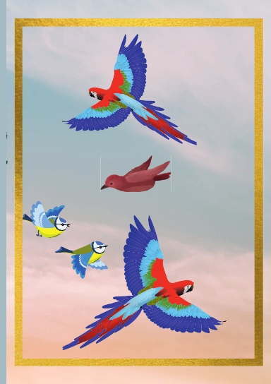 Colorful Birds Notebook