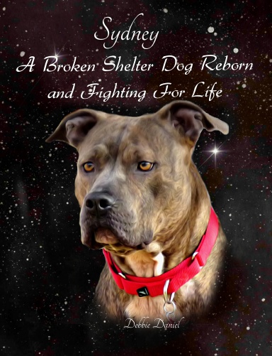 Sydney: A Broken Shelter Dog Reborn and Fighting For Life