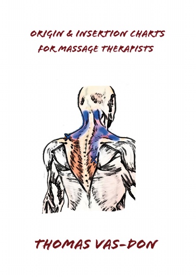 origin & insertion charts for massage therapists