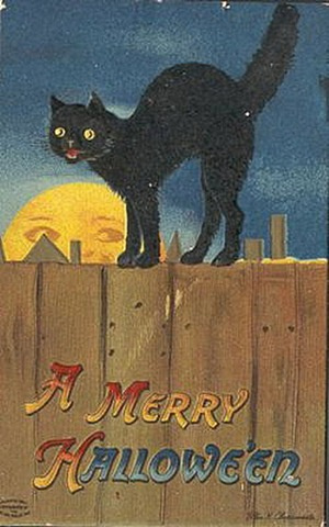 Beatrice The Magical Halloween Cat