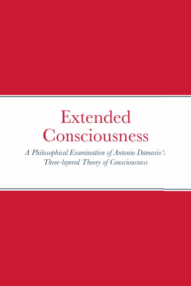 Extended Consciousness