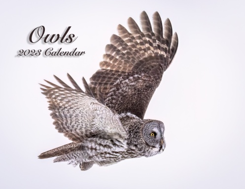 Owls - 2023 Calendar