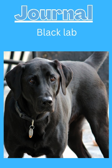 Black lab dog Journal series 3 with a light blue background