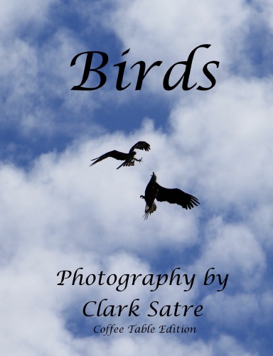 Coffee Table Birds