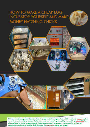 How To Make An Egg Incubator At Home Cheaply And Make Profit Hatching Eggs.
