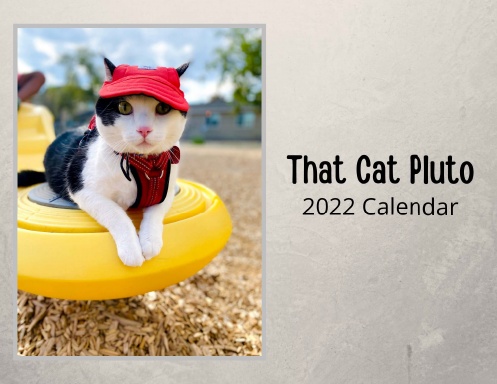 That Cat Pluto 2022 Calendar