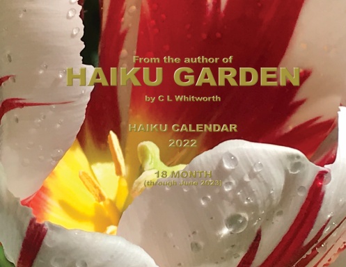 HAIKU Garden 2022-2023