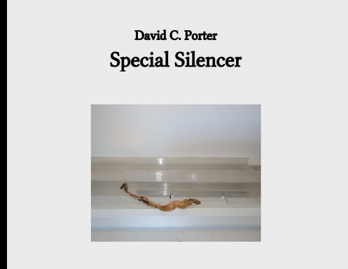 Special Silencer