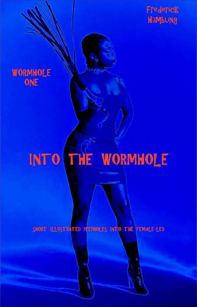 Into the Wormhole - Wormhole One