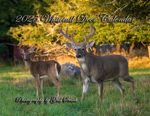 2025 Whitetail deer Calendar