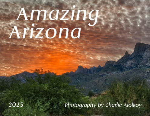 Arizona's Best