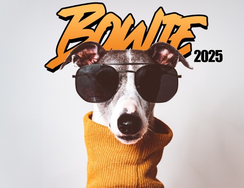 Whippet Bowie 2025 Calendar
