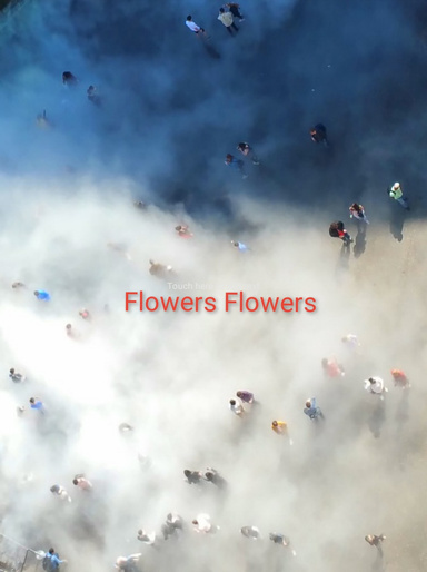 Flowers Flowers