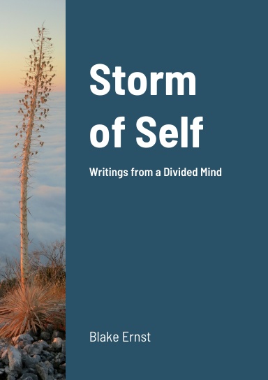 Storm of Self