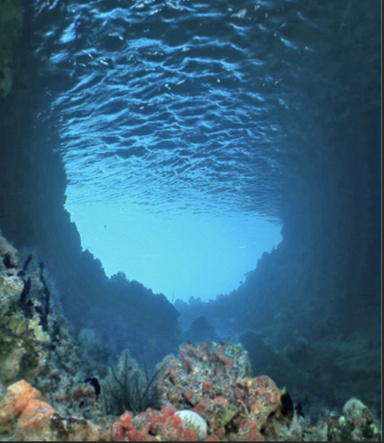 The Secrets of the Deep