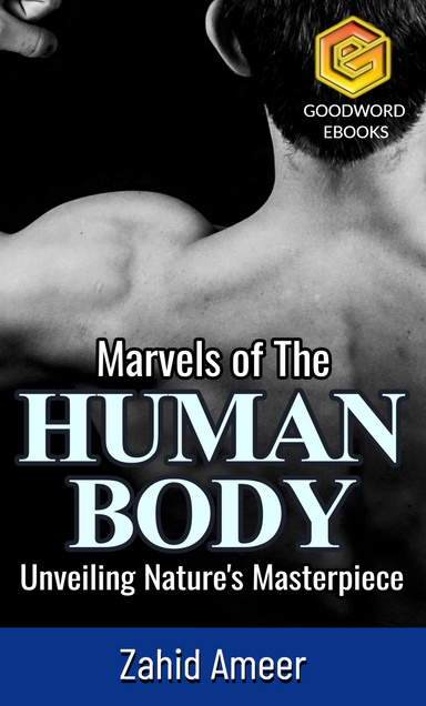 Marvels of The Human Body: Unveiling Nature’s Masterpiece