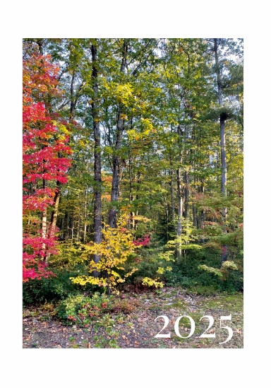 2025 Calendar