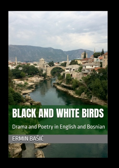 BLACK AND WHITE BIRDS