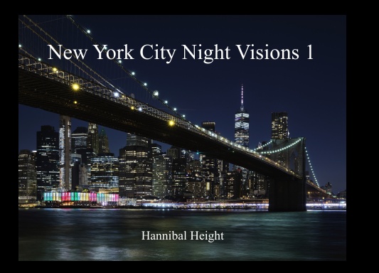 New York City Night visions