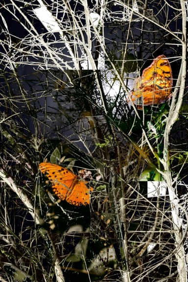 Ternura