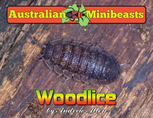 Woodlice