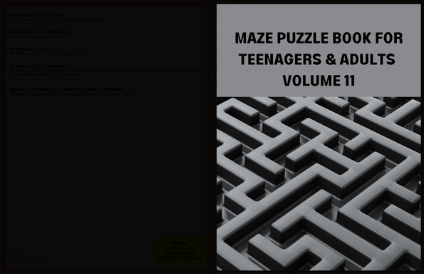 MAZE PUZZLE BOOK FOR TEENAGERS AND ADULTS  VOLUME 11